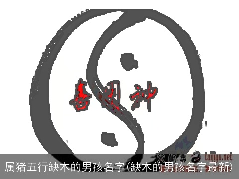 属猪五行缺木的男孩名字(缺木的男孩名字最新)