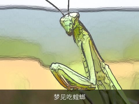 梦见吃螳螂