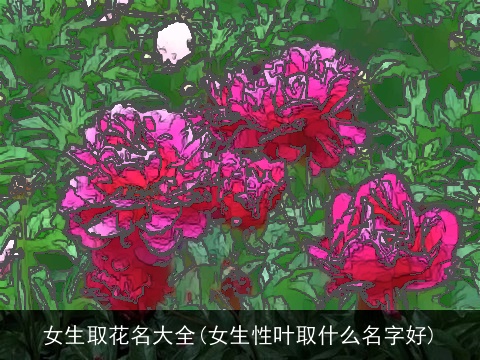 女生取花名大全(女生性叶取什么名字好)