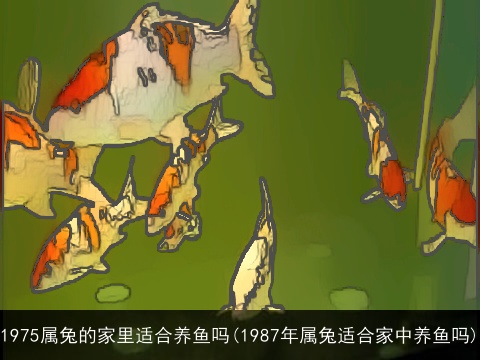 1975属兔的家里适合养鱼吗(1987年属兔适合家中养鱼吗)