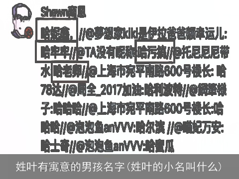 姓叶有寓意的男孩名字(姓叶的小名叫什么)