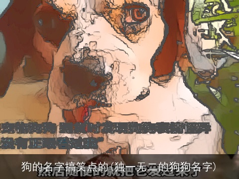 狗的名字搞笑点的(独一无二的狗狗名字)