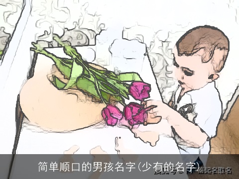 简单顺口的男孩名字(少有的名字)