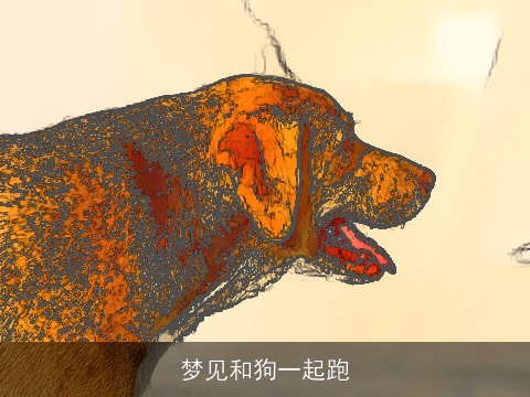 梦见和狗一起跑