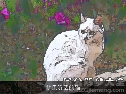 梦见听话的猫