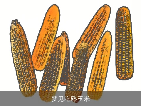 梦见吃熟玉米