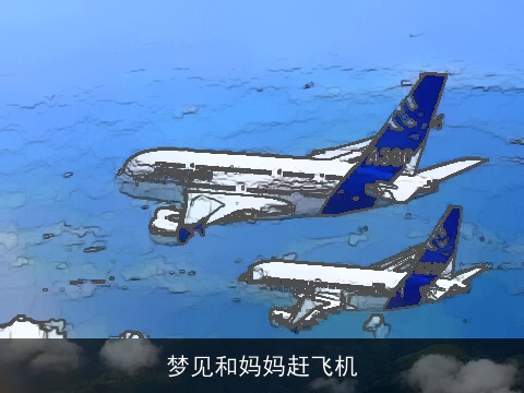 梦见和妈妈赶飞机