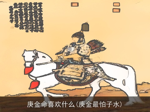 庚金命喜欢什么(庚金最怕子水)
