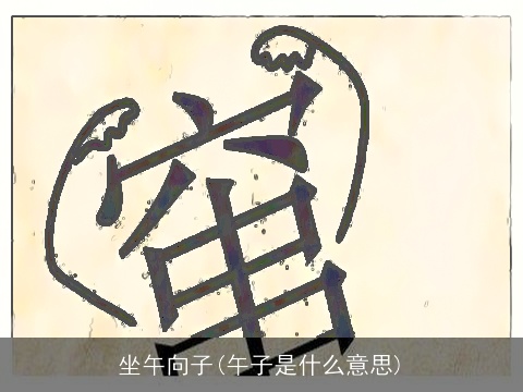 坐午向子(午子是什么意思)