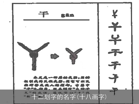 十二划字的名字(十八画字)