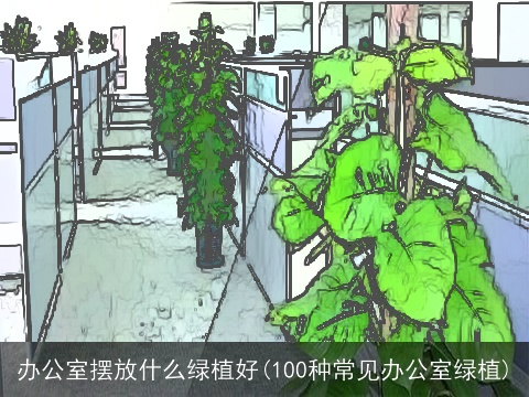 办公室摆放什么绿植好(100种常见办公室绿植)