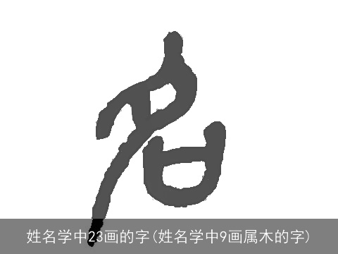姓名学中23画的字(姓名学中9画属木的字)