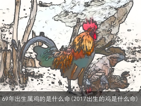 69年出生属鸡的是什么命(2017出生的鸡是什么命)