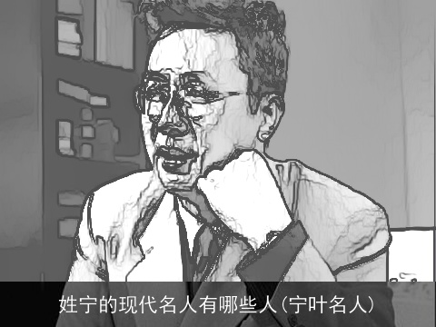 姓宁的现代名人有哪些人(宁叶名人)