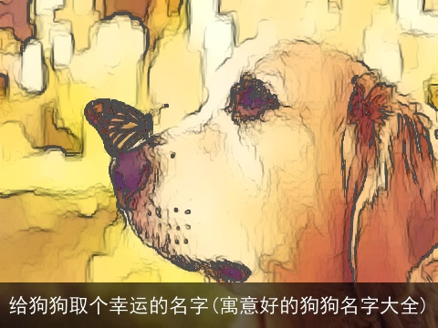 给狗狗取个幸运的名字(寓意好的狗狗名字大全)