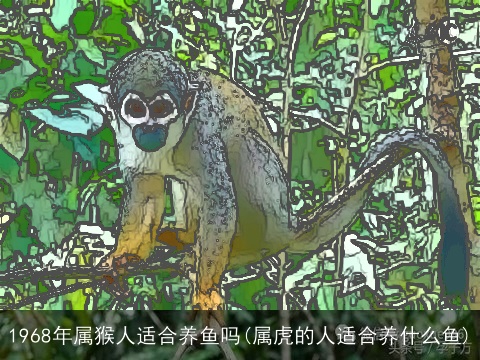 1968年属猴人适合养鱼吗(属虎的人适合养什么鱼)