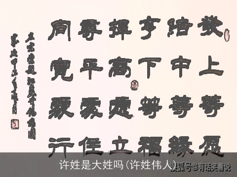 许姓是大姓吗(许姓伟人)