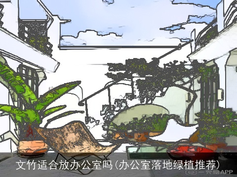 文竹适合放办公室吗(办公室落地绿植推荐)