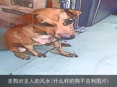 丢狗对主人的风水(什么样的狗不吉利图片)