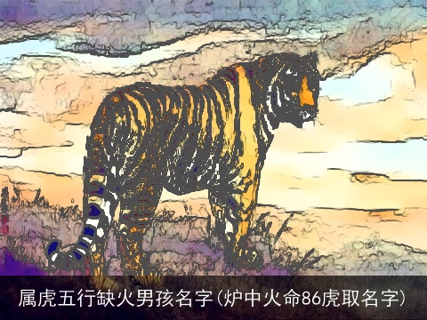 属虎五行缺火男孩名字(炉中火命86虎取名字)