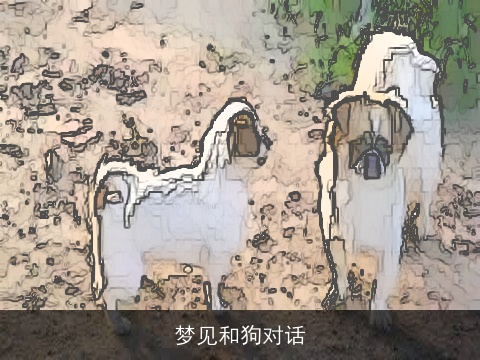 梦见和狗对话