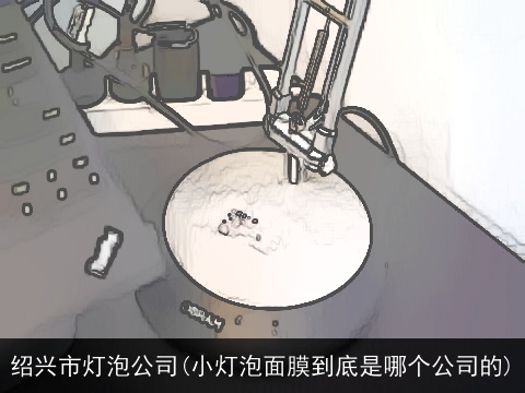 绍兴市灯泡公司(小灯泡面膜到底是哪个公司的)