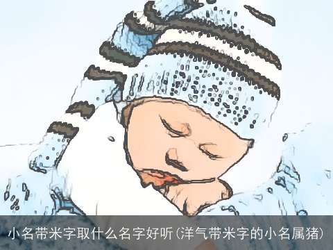 小名带米字取什么名字好听(洋气带米字的小名属猪)