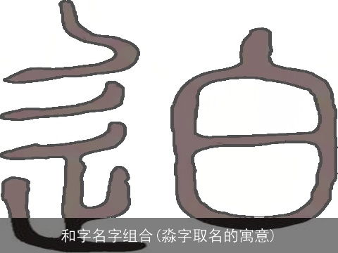 和字名字组合(淼字取名的寓意)