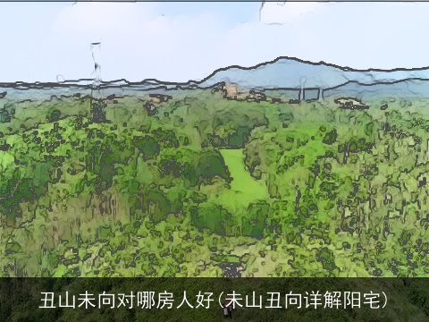 丑山未向对哪房人好(未山丑向详解阳宅)