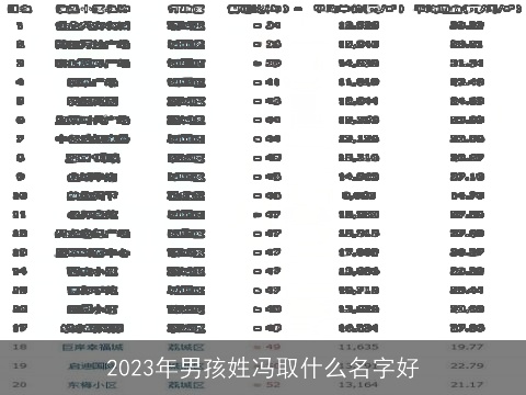 2023年男孩姓冯取什么名字好