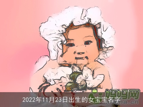 2022年11月23日出生的女宝宝名字