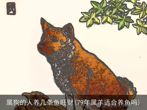 属狗的人养几条鱼旺财(79年属羊适合养鱼吗)