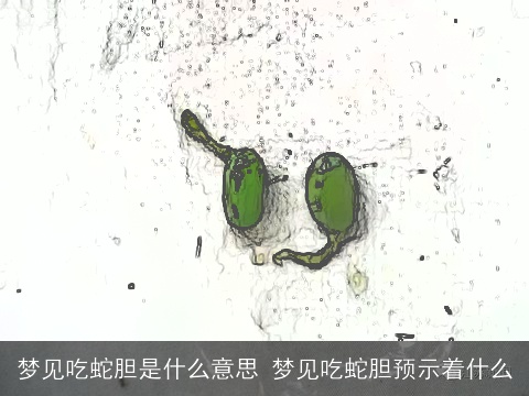 梦见吃蛇胆是什么意思 梦见吃蛇胆预示着什么