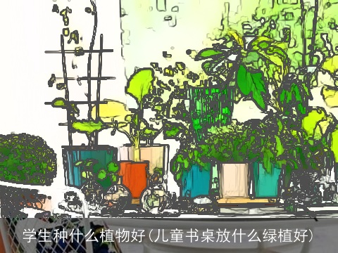 学生种什么植物好(儿童书桌放什么绿植好)