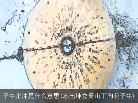 子午正冲是什么意思(水出坤立癸山丁向兼子午)