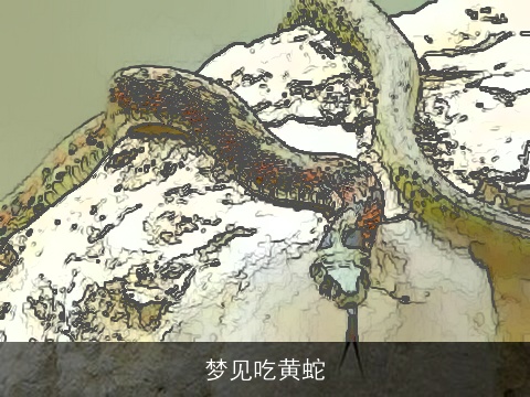 梦见吃黄蛇