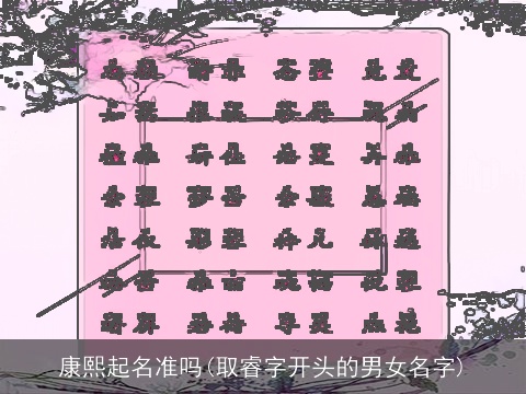 康熙起名准吗(取睿字开头的男女名字)
