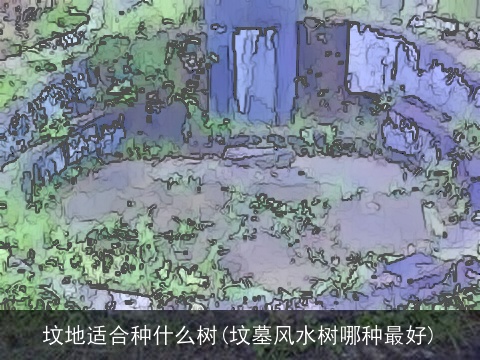 坟地适合种什么树(坟墓风水树哪种最好)