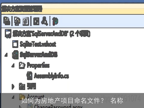 如何为房地产项目命名文件？ 名称