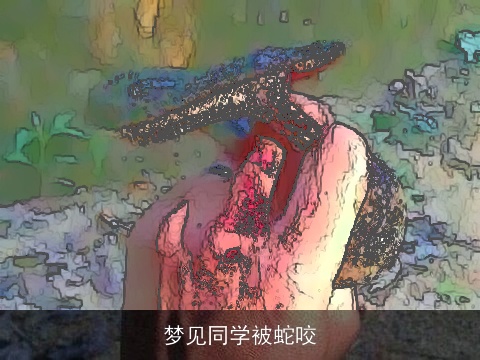 梦见同学被蛇咬