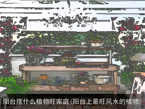 阳台摆什么植物旺家庭(阳台上最旺风水的植物)