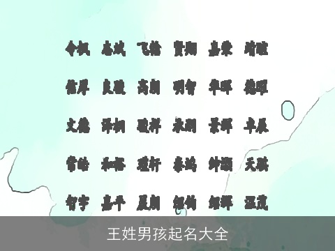王姓男孩起名大全