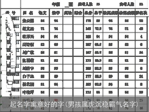 起名字寓意好的字(男孩属虎沉稳霸气名字)