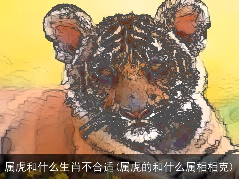 属虎和什么生肖不合适(属虎的和什么属相相克)