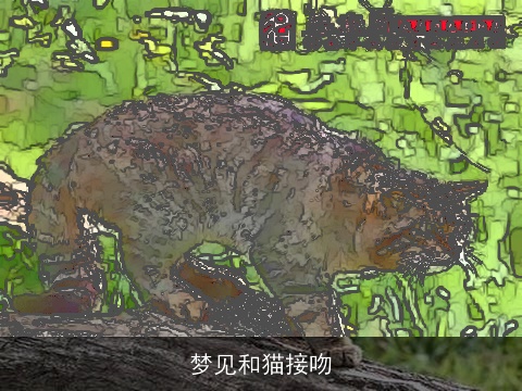 梦见和猫接吻