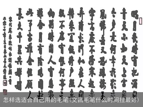 怎样选适合自己用的毛笔(文昌毛笔什么时间挂最好)