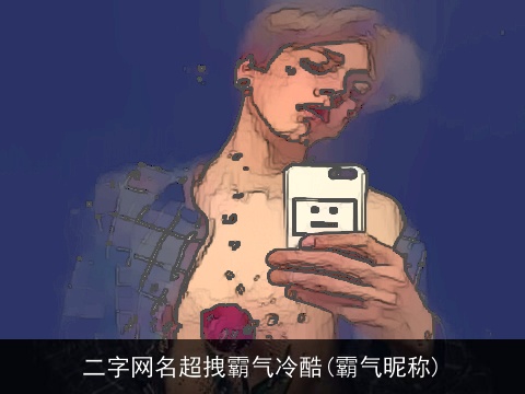 二字网名超拽霸气冷酷(霸气昵称)