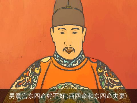 男震宫东四命好不好(西四命和东四命夫妻)