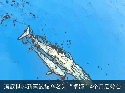 海底世界新蓝鲸被命名为“卓娅”4个月后登台