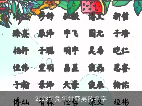 2023年兔年姓薛男孩名字